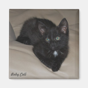 Baby Cali Magneet