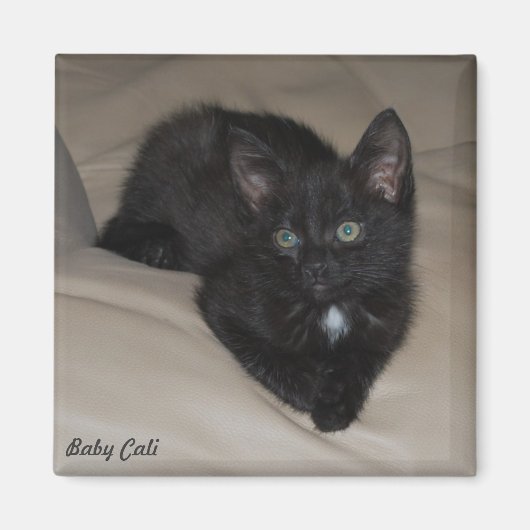 Baby Cali Magneet (Voorkant)