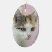 Baby Calico Keramisch Ornament (Links)