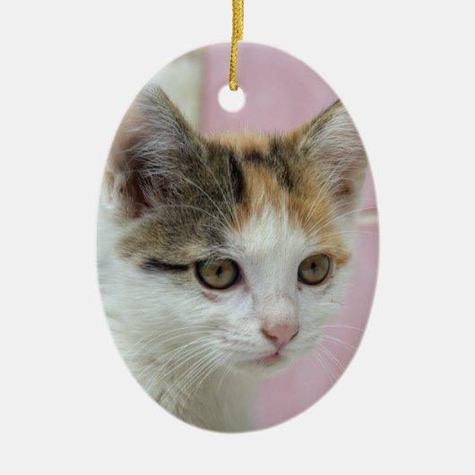 Baby Calico Keramisch Ornament (Voorkant)