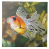 Baby Calico Ryukin Goldfish Tile Tegeltje (Voorkant)