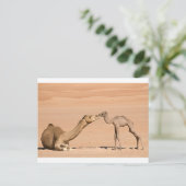 Baby Camel en zijn moeder Briefkaart (Staand voorkant)