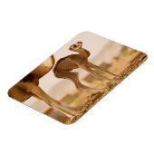 Baby Camel Magneet (Linkerzijde)