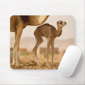 Baby Camel Muismat (Met muis)