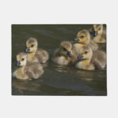 Baby Canada Geese Goslings Wildlife Animal Doormat Deurmat (Voorkant)