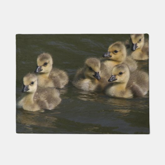 Baby Canada Geese Goslings Wildlife Animal Doormat Deurmat (Voorkant)