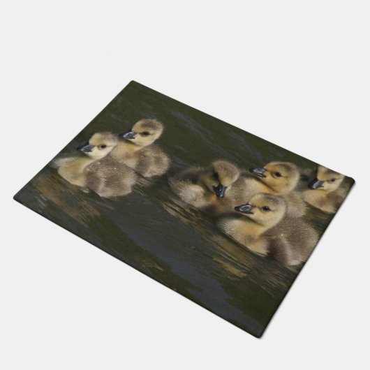 Baby Canada Geese Goslings Wildlife Animal Doormat Deurmat (Schuin)