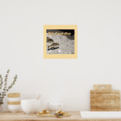 Baby Canada Geese Poster (Keuken)