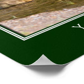 Baby Canada Goose Goslings Creëer Uw eigen Poster (Hoek)