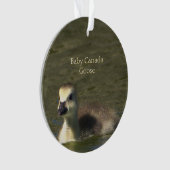 Baby Canada Goose Photo Ornament (voorkant)