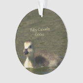 Baby Canada Goose Photo Ornament (voorkant)