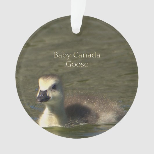 Baby Canada Goose Photo Ornament (voorkant)