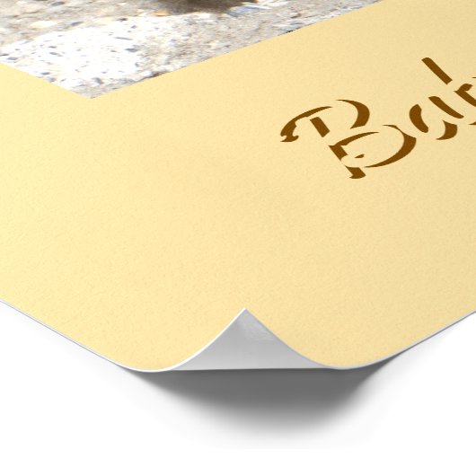 Baby Canada Goose Poster (Hoek)