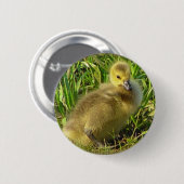 Baby Canadese Goose Button 2 (Voorkant /achterkant)