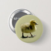 Baby Canadian Goose Button (Voorkant /achterkant)