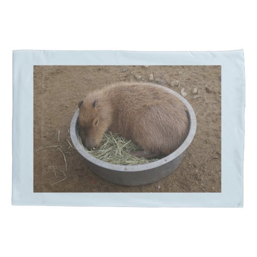 Baby Capybara Kussensloop (Achterkant)