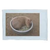Baby Capybara Kussensloop (Voorkant)