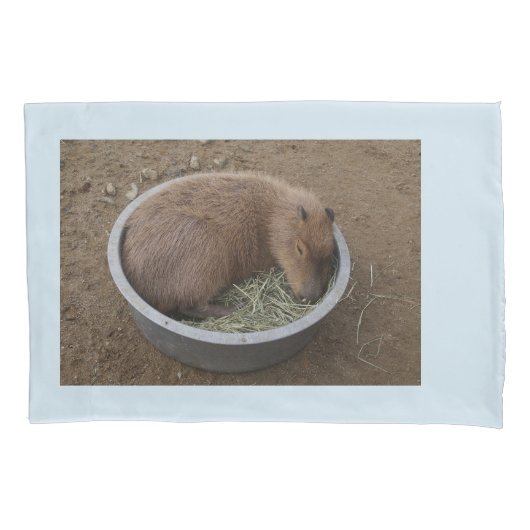 Baby Capybara Kussensloop (Voorkant)