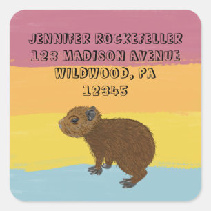 Baby Capybara Schattigee retour adreslabels Vierkante Sticker