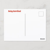 Baby Cardinal Wildlife Cure Fotografisch Briefkaart (Achterkant)