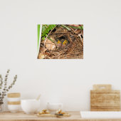 Baby Carolina Wrens Poster (Keuken)