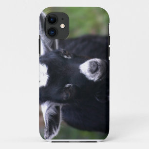 Baby Case-Mate iPhone Case