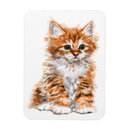Baby Cat Magnet Gift Magneet
