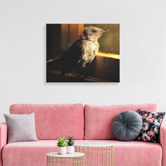 Baby Catbird Canvas Afdruk (Insitu (Woonkamer))