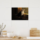 Baby Catbird Poster (Keuken)