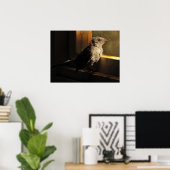 Baby Catbird Poster (Thuiskantoor)