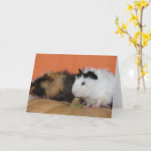 Baby cavia's op pompoen kaart (Gele Bloem)