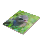 Baby Cedar Waxing Bird Animal Tegeltje (Zijkant)