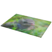 Baby Cedar Waxing Fledgling Bird Animal Snijplank (Hoek)