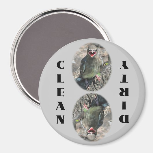 Baby Cedar Waxwing Bird Dishwasmachine Magneet (Voorkant / Achterkant)