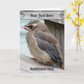 Baby Cedar Waxwing Bird Nature Photo  Kaart (Gele Bloem)
