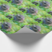 Baby Cedar Waxwing Fledgling Bird Natuur Cadeaupapier (Hoek)