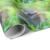 Baby Cedar Waxwing Fledgling Bird Natuur Cadeaupapier (Rol Hoek)