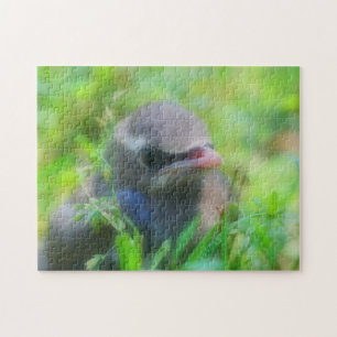 Baby Cedar Waxwing Fledgling Bird Natuur Legpuzzel