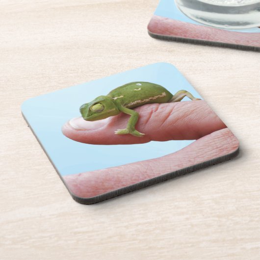 Baby-chameleonperspectief Bier Onderzetter (Linkerzijde)