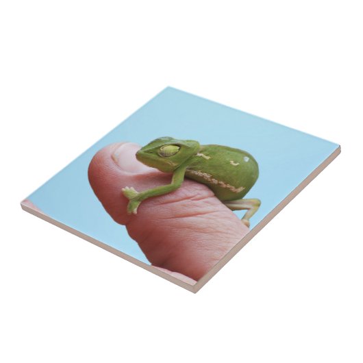 Baby-chameleonperspectief Tegeltje (Zijkant)