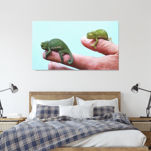 Baby-chameleons perspectief canvas afdruk (Insitu (Slaapkamer))