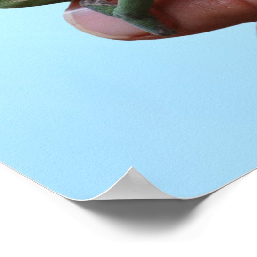 Baby-chameleons perspectief poster (Hoek)