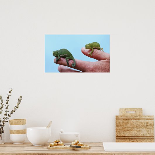Baby-chameleons perspectief poster (Keuken)
