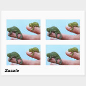 Baby-chameleons perspectief rechthoekige sticker (Vel)
