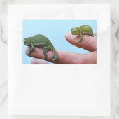 Baby-chameleons perspectief rechthoekige sticker (Tas)