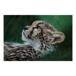 Baby Cheetah Fine Art Print 71x47cm Perfect Poster