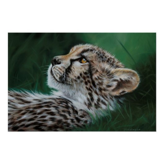 Baby Cheetah Fine Art Print 71x47cm Perfect Poster (Voorkant)