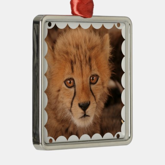Baby Cheetah Ornament (Rechts)