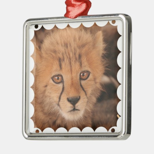 Baby Cheetah Ornament (Links)