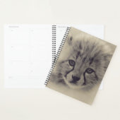 Baby Cheetah Planner (Display)